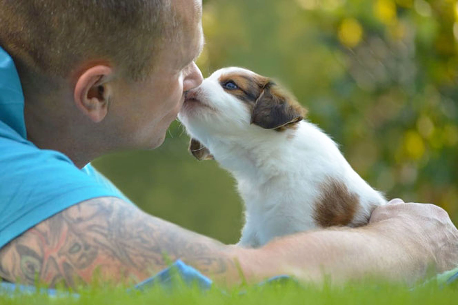 Dirk Muscheid mit Kooiker Welpe Kooikerhondje