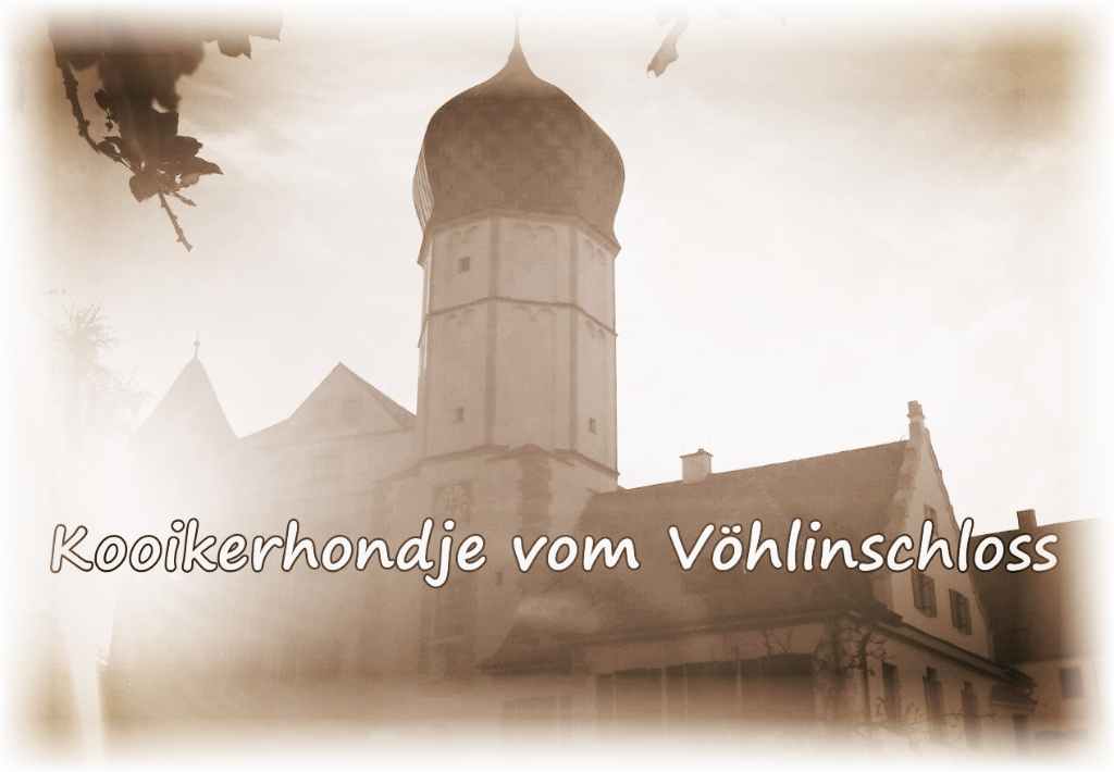 Kooikerhondje vom Vöhlinschloss Illertissen